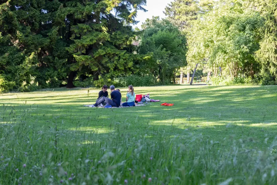 Konsequente Klimapolitik in Riehen? - Klima-Vorstoss-Paket für Riehen